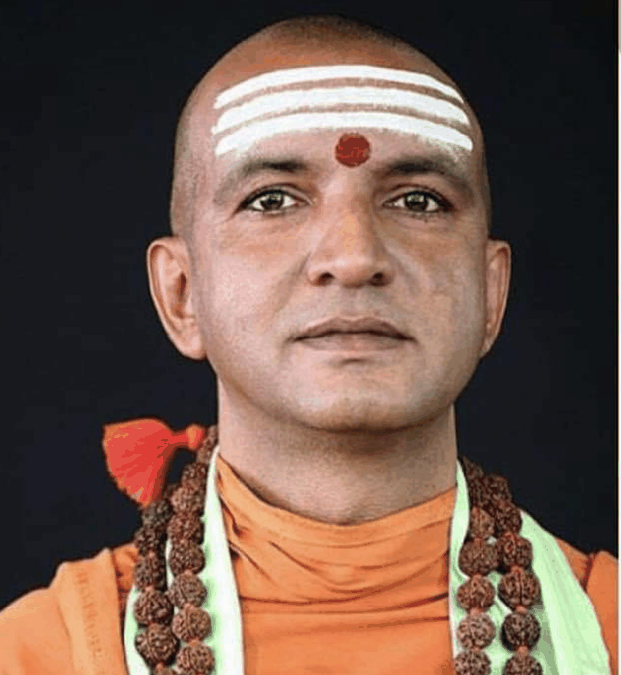 हमारी विभूतियाँ: स्वामी निरंजनानंद सरस्वती जी
